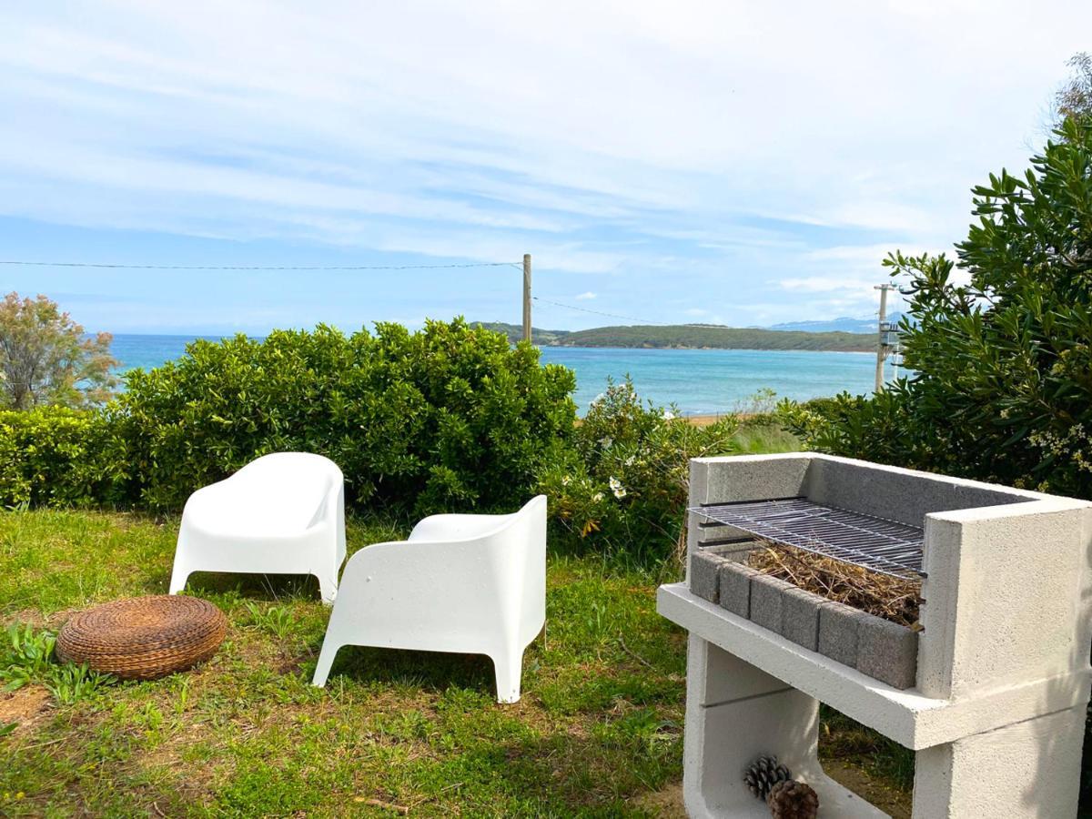 Villa Tanaquilla Baratti Bagian luar foto